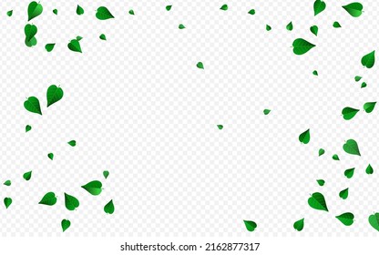 Pancarta de fondo transparente del vector ecológico forestal. Afiche de la hoja de viento. Papel tapiz del árbol de oliva. Deja Un Diseño Realista.