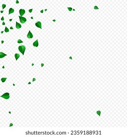 Forest Greens Falling Vector Transparent Background Pattern. Blur Leaves Design. Swamp Foliage Spring Brochure. Leaf Forest Border.