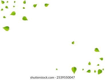 Forest Greens Falling Vector White Background Pattern. Tree Leaf Branch. Swamp Leaves Transparent Design. Foliage Abstract Concept.