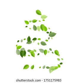 Forest Greens Fly Vector Concept. Tree Leaf Pattern. Olive Leaves Herbal Branch. Foliage Ecology Wallpaper.