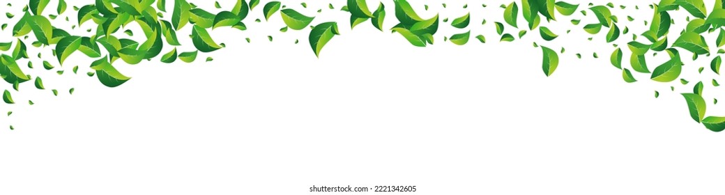 Vector de Volante Forestal Fondo Blanco Panorámico. Concepto de hoja orgánica. Lime Deja El Fondo De Movimiento. Plantilla De Foliage Falling.
