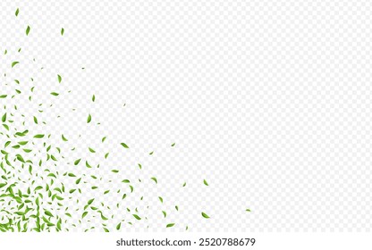 Forest Greens Fresh Vector Transparent Background Backdrop. Transparent Leaves Concept. Green Leaf Flying Banner. Foliage Ecology Poster.