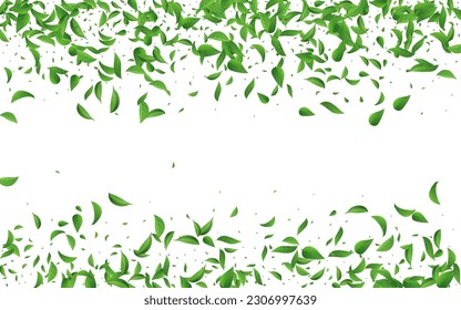 Forest Greens Fresh Vector White Background Wallpaper. Wind Leaf Branch. Grassy Foliage Motion Backdrop. Leaves Blur Illustration.