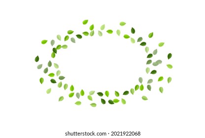 Papel tapiz de vectores herbales de los verdes forestales. Swirl Deja La Plantilla. Borde de la hoja verde. Folleto Forestal Foliage.