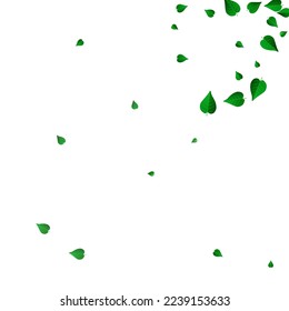 Forest Greens Herbal Vector White Background Illustration. Abstract Leaves Poster. Mint Foliage Tree Plant. Leaf Flying Banner.
