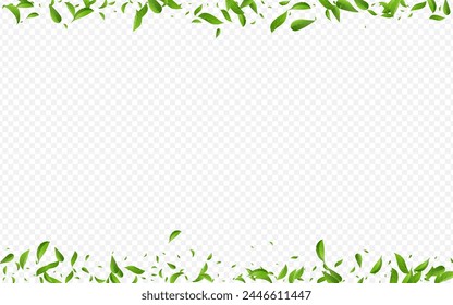 Forest Greens Motion Vector Transparent Background Wallpaper. Ecology Leaves Backdrop. Grassy Leaf Nature Concept. Foliage Tea Illustration.