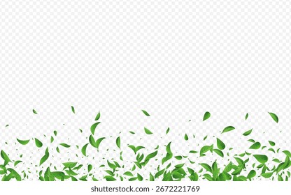 Forest Greens Nature Vector Transparent Background Wallpaper. Organic Foliage Banner. Mint Leaves Tree Concept. Leaf Blur Template.
