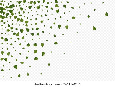 Forest Greens Organic Vektor Transparente Hintergrundbroschüre. Falling Foliage Concept. Grünes Leaf-Frühlingshintergrund. Das Motion-Muster verlassen.