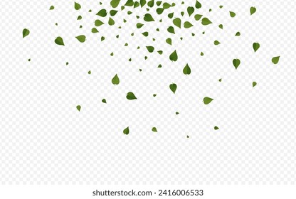 Forest Greens Organic Vector Transparent Background Pattern. Swirl Leaves Plant. Olive Foliage Fly Brochure. Leaf Flying Template.