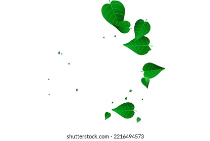 Forest Greens Spring Vector White Background Plant. Fly Leaf Border. Mint Leaves Wind Poster. Foliage Herbal Branch.