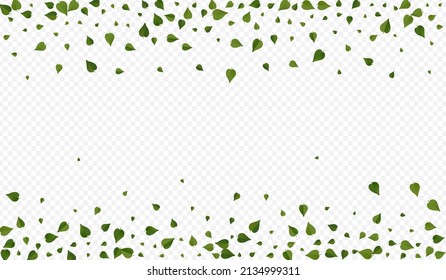 Forest Greens Swirl Vector Transparent Background Concept. Organic Leaves Plant. Swamp Leaf Transparent Pattern. Foliage Realistic Illustration.