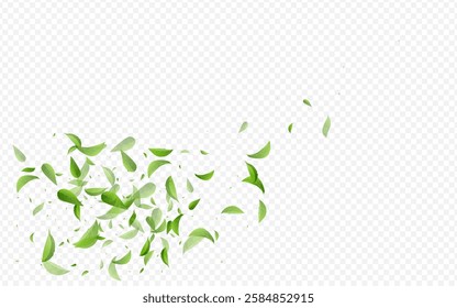 Forest Greens Swirl Vector Transparent Background Brochure. Blur Leaf Pattern. Lime Foliage Fresh Plant. Leaves Falling Concept.