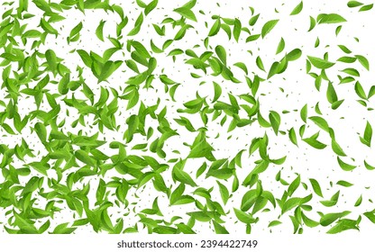 Forest Greens Swirl Vector White Background Border. Spring Leaf Branch. Swamp Foliage Wind Concept. Leaves Organic Plant.