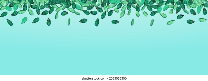 Forest Greens Tea Vector Panoramic Blue Background Template. Fly Leaf Border. Mint Foliage Organic Plant. Leaves Swirl Wallpaper.