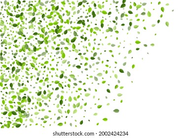 Forest Greens Tea Vector Plant. Realistic Foliage Template. Lime Leaf Motion Brochure. Leaves Organic Pattern.