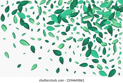 Forest Greens Tea Vector Transparent Background Brochure. Ecology Leaf Background. Green Leaves Realistic Design. Foliage Transparent Pattern.
