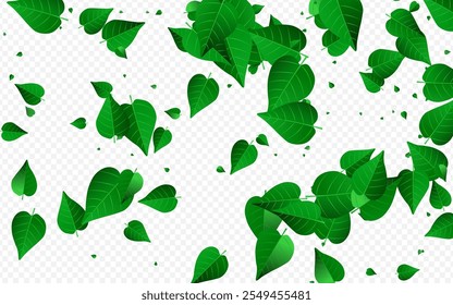 Forest Greens Tea Vector Transparent Background Wallpaper. Falling Foliage Backdrop. Olive Leaves Tree Branch. Leaf Spring Concept.