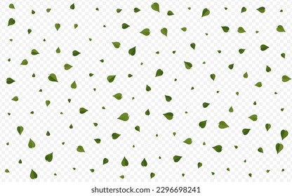 Forest Greens Transparent Vector Transparent Background Design. Spring Leaves Wallpaper. Lime Foliage Tea Branch. Leaf Flying Backdrop.