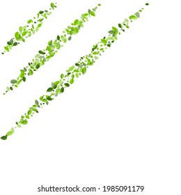 Forest Greens Transparent Vector Banner. Fresh Leaves Concept. Green Foliage Herbal Backdrop. Leaf Forest Design.