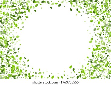 Forest Greens Tree Vector Branch. Ecology Foliage Poster. Olive Leaf Fly Pattern. Leaves Transparent Wallpaper.