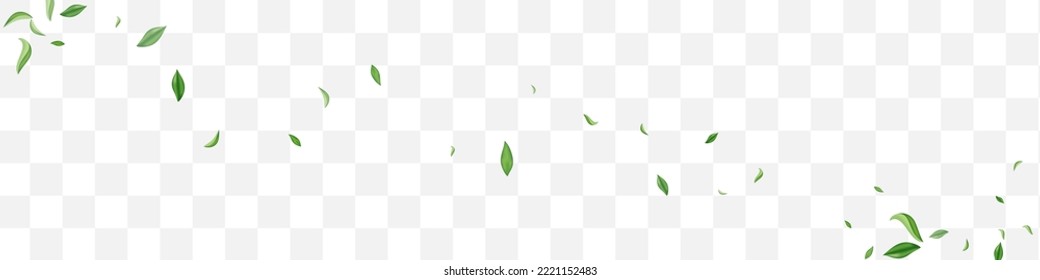 Forest Greens Tree Vector Transparent Panoramic Background Wallpaper. Fresh Foliage Brochure. Olive Leaves Blur Template. Leaf Motion Banner.