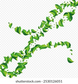 Forest Greens Forest Vector Transparent Background. Fly Foliage Banner. Grassy Leaf Transparent Illustration. Leaves Abstract Wallpaper.