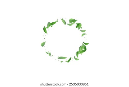 Forest Greens Forest Vector White Background Banner. Fresh Leaf Branch. Swamp Leaves Tea Wallpaper. Foliage Wind Backdrop.