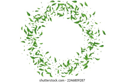 Forest Greens Wind Vector White Background Design. Blur Leaves Pattern. Mint Leaf Organic Brochure. Foliage Realistic Border.