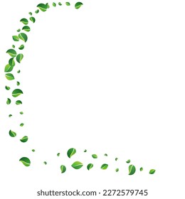 Forest Greens Wind Vector White Background. Transparent Leaf Brochure. Swamp Leaves Blur Illustration. Foliage Swirl Border.