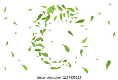 Forest Greens Wind Vector White Background Banner. Organic Leaves Template. Olive Foliage Tea Border. Leaf Fresh Illustration.