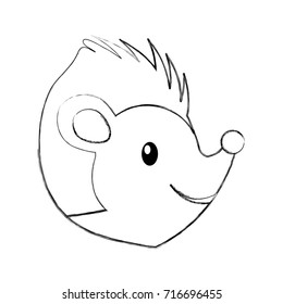 forest hedgehog animal wild fauna nature