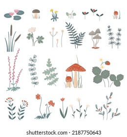 Forest herbs and flowers, floral elements set. Vector doodle hand drawn plants and mushrooms isolated design elements