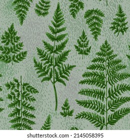 Forest herbs pattern, ferns. Flowers vector drawing.  