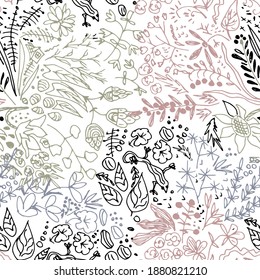 Forest herbs. Vector illustration. Hand drawing.