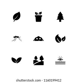 forest icon. 9 forest set with plant, camping, mosquito and park vector icons for web and mobile app