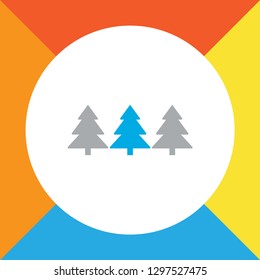 Forest icon colored line symbol. Premium quality isolated christmas trees element in trendy style.