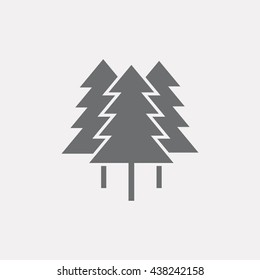 Forest icon. Park icon. Spruce. Three tree. Vector illustration