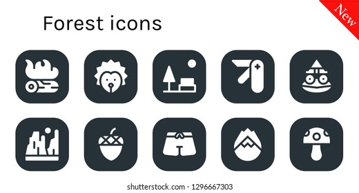  forest icon set. 10 filled forest icons. Simple modern icons about  - Campfire, Hedgehog, Park, Pocket knife, Toad, Canyon, Acorn, Trunk, Forest fire, Mushroom