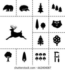 Forest icon. set of 13 filled forest icons such as tree, pine tree, bear, hedgehog, deer