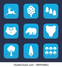 forest icon. Set of 9 filled forest icons such as tree, pine tree, bear, deer