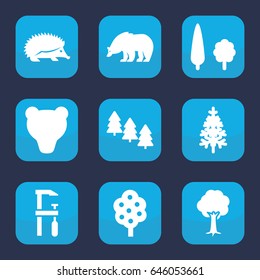Forest icon. set of 9 filled forest icons such as tree, pine tree, bear, hedgehog, chainsaw