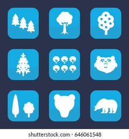 Forest icon. set of 9 filled forest icons such as tree, pine tree, bear