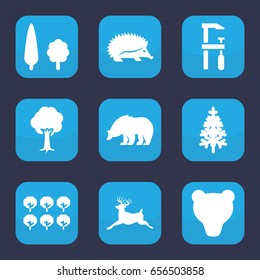 Forest icon. set of 9 filled forest icons such as tree, bear, hedgehog, deer, chainsaw