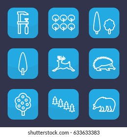 Forest icon. set of 9 outline forest icons such as bear, hedgehog, deer, tree, pine tree, chainsaw