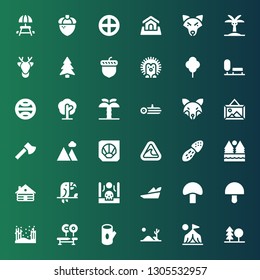 Forest Icon Set. Collection Of 36 Filled Forest Icons Included Forest, Camp, Desert, Log, Bench, Mushroom, Robin Hood, Drought, Toucan, Cabin, Tsunami, Fossil, Landscape, Ax, Fox