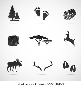 Forest icon set isolated on white background. Vector art.