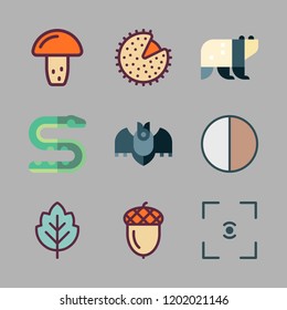 forest icon set. vector set about panda bear, acorn, contrast and bat icons set.