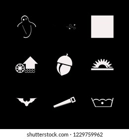 forest icon. forest vector icons set dry leaves wind, ghost, bat and acorn