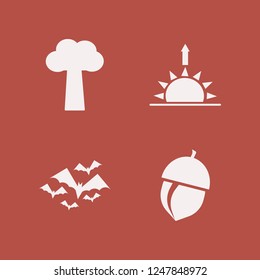 forest icon. forest vector icons set sunrise, tree, acorn and bats