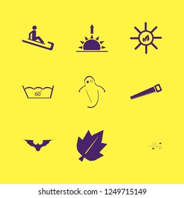forest icon. forest vector icons set ghost, sun leaves, delicate gentle degrees and dry leaves wind